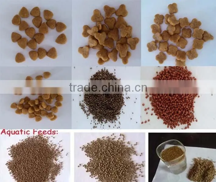 Dry and Wet Type fish feed making machine for India