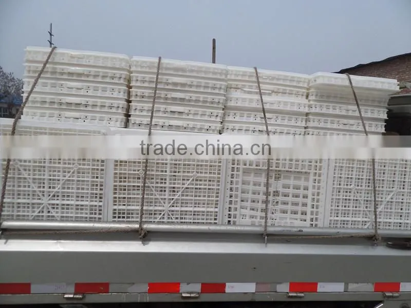 solid plastic pigeon transport cage