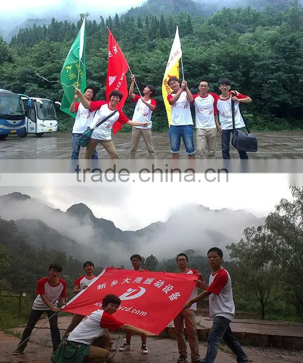 Professional manufacturer vibrating screen bearing