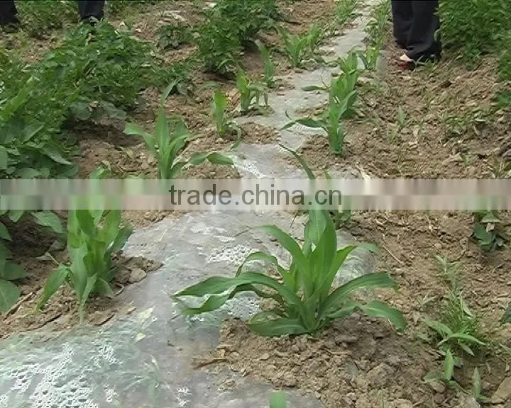 low Tunnel agriculture Film