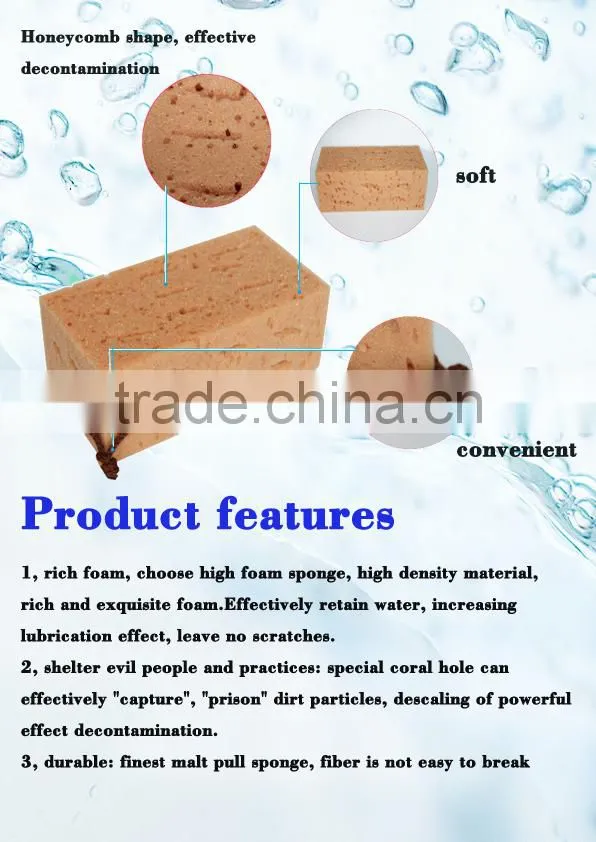 Hot sale natural sea sponge wholesale
