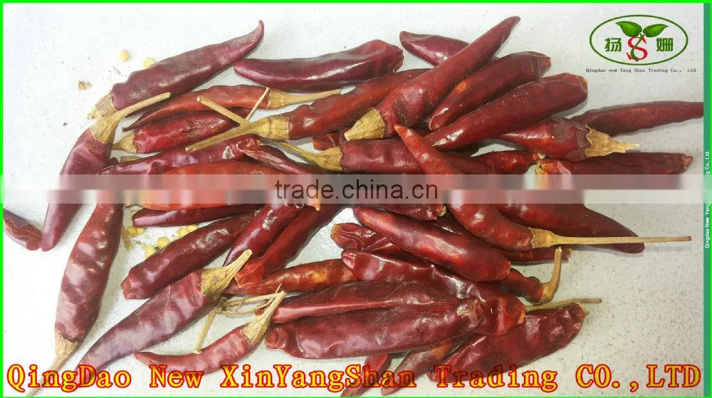 (HOT)New Crop DRY Red Chili,HOT!HOT!