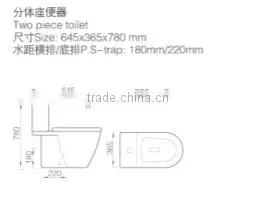 New Arrival Europe Two piece Bathroom toilet washdown flush ZZ-01
