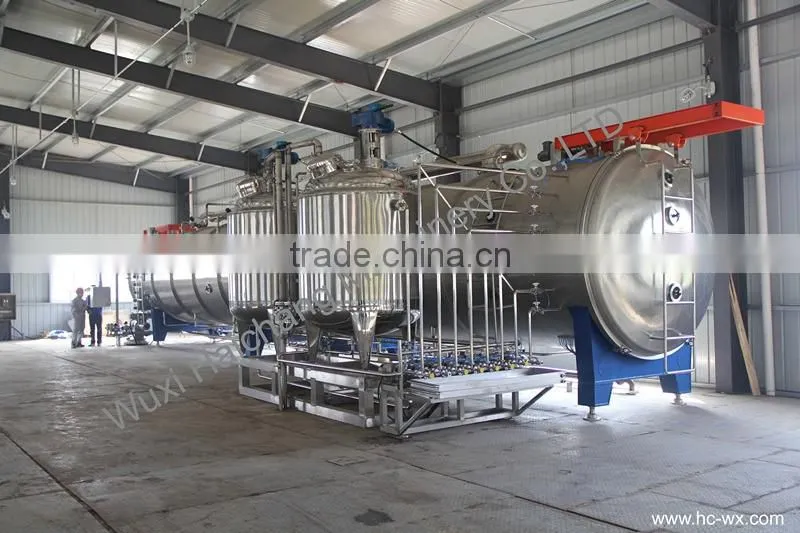 Chinese supplier efficient belt vacuum drying machine for plants