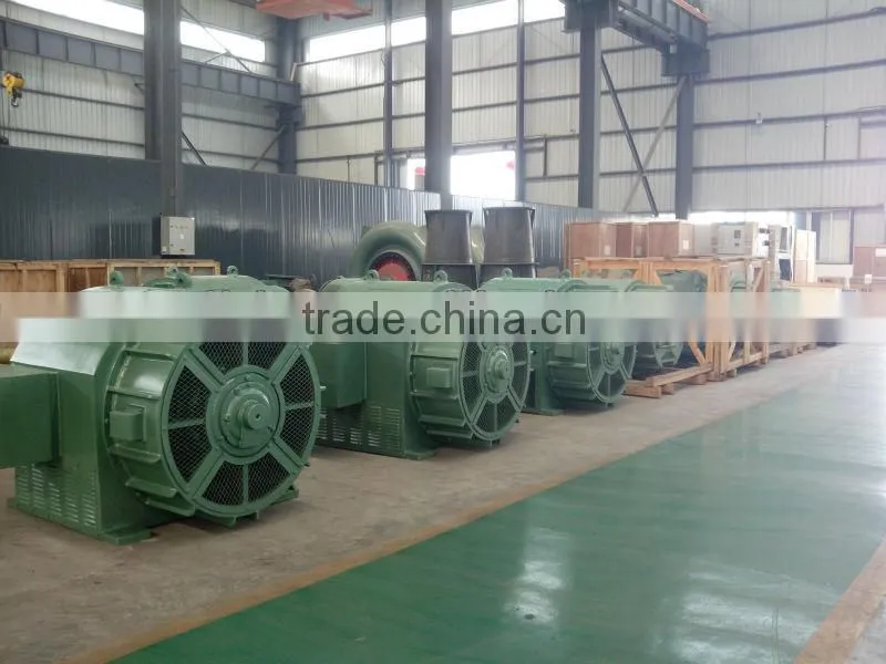 water turbine generator/ generator roator/ generator pole