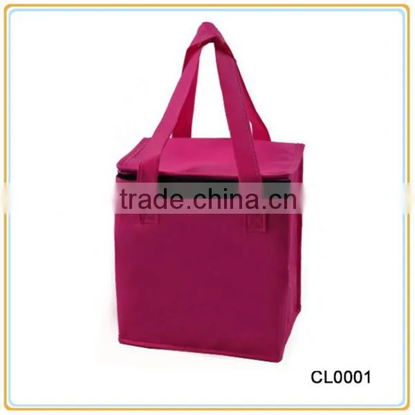 Eco-friendly Cooler Bag For Frozen Food