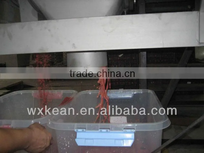 Fruit and vegetable pulping Machine