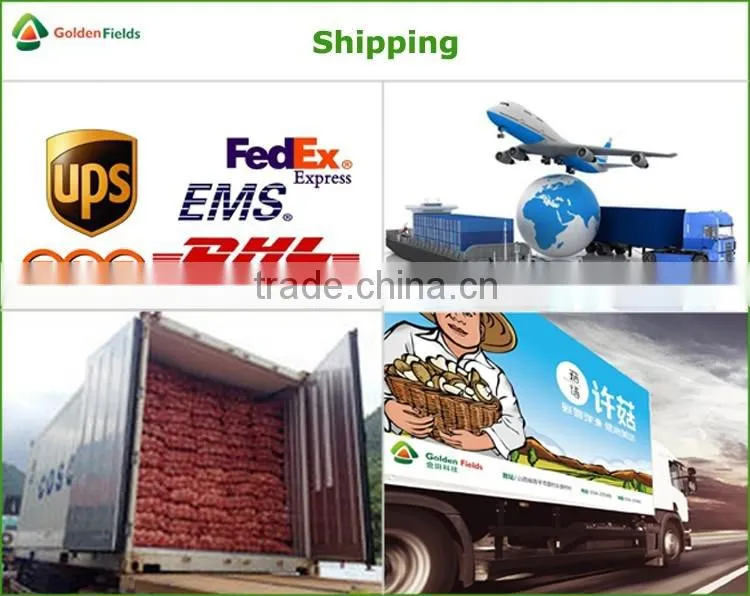 Market Price for Mushroom,Shiitake Mushroom Price,Mushroom For Sale