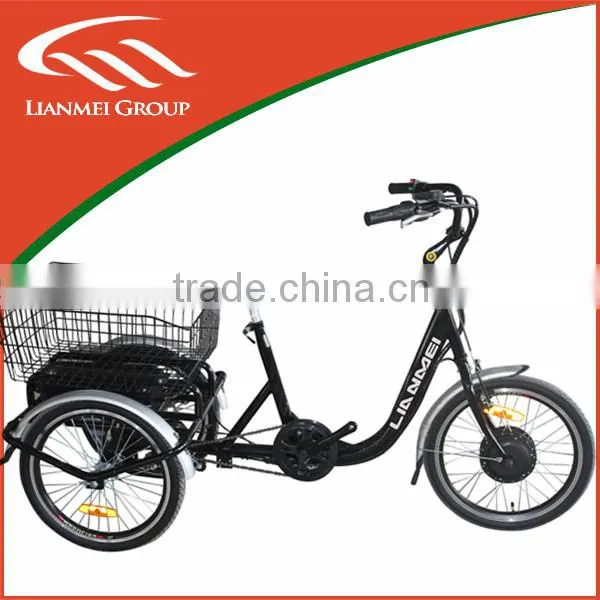 Electric bike