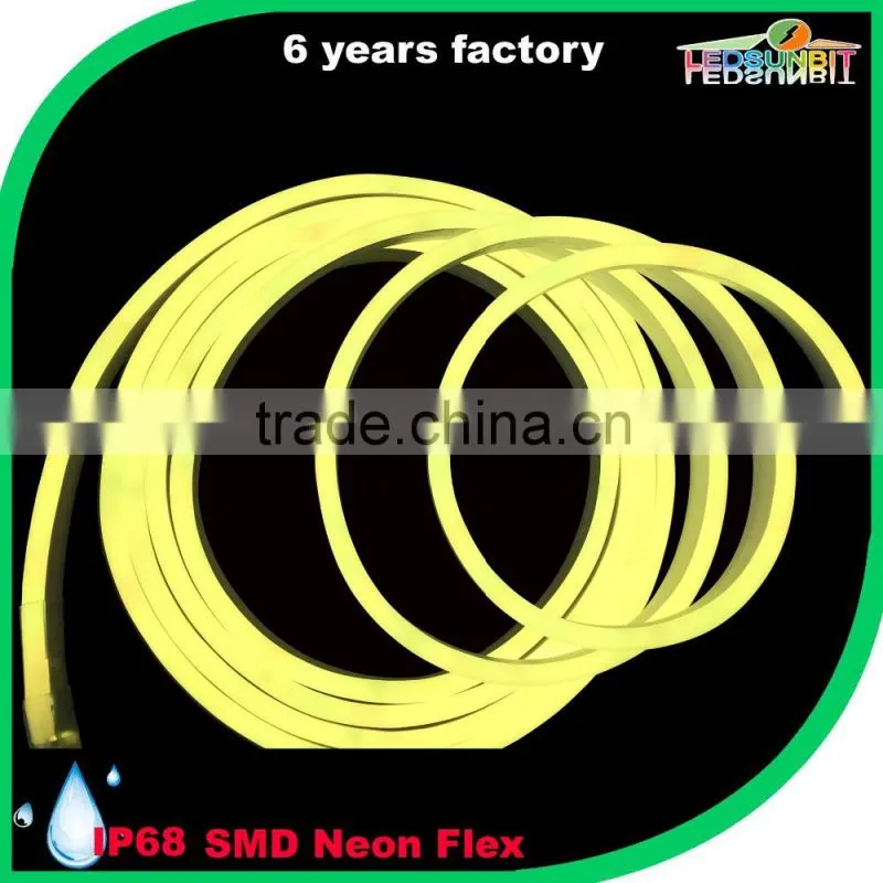 SMD 5050 RGB Lasting high impact effect led neon flex for modern buildings strip light