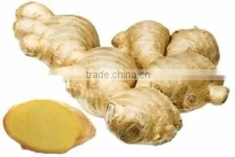 Organic fresh ginger Young