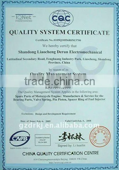 Deep Groove Ball Bearing 6000,6200,6300,6800,6900 Series