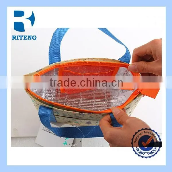 Color Print Portable Thermal Insulation Cooler Bag