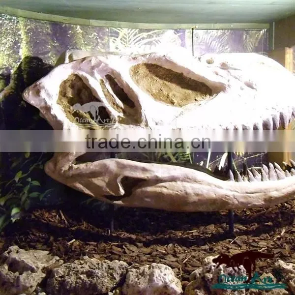 OA4075 high quality replica dinosaur fossils