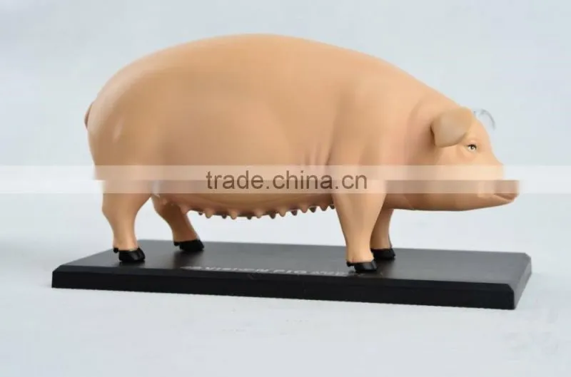 V-AM057 4D MASTER Pig specimens anatomical model