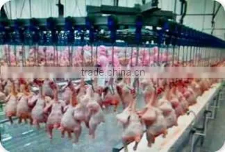 Poultry Chicken Automatic Eviscerating line, Evisceration Line for Poultry Goose Duck Broiler Chicken Slaughterhouse