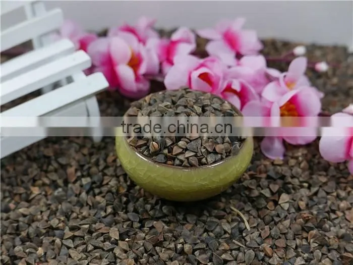 2016 new crop High Quality raw Buckwheat price