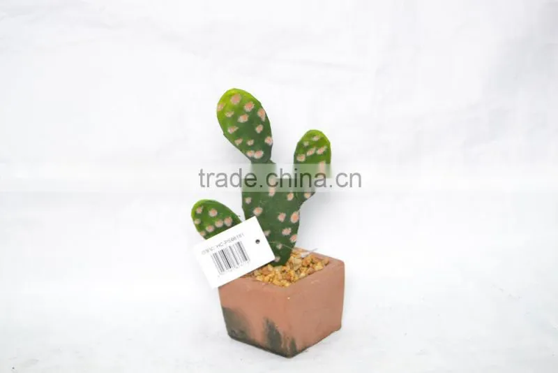 Mini Cactus with cement pot for decoration