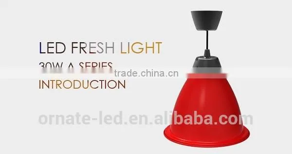 shenzhen led commerical lighting for fresh food refrigerated display case led lights