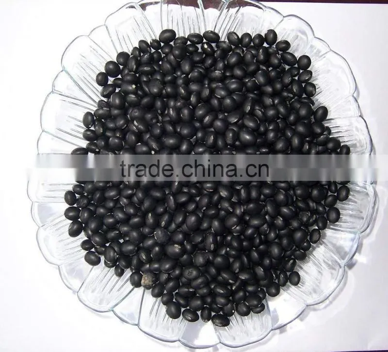 Small Black Bean Chinese Origin