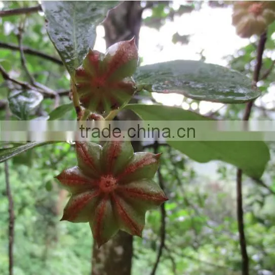 Anise Star