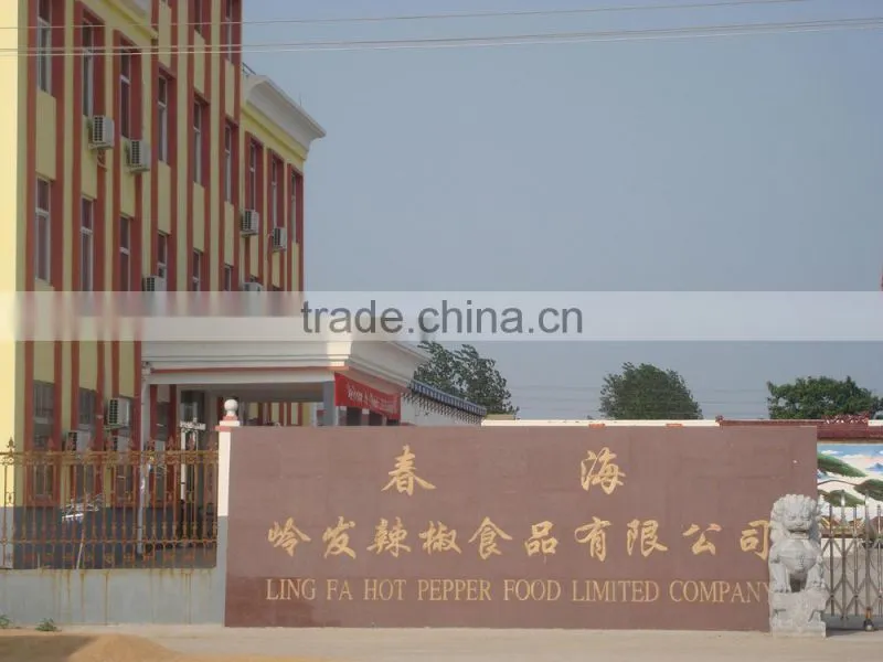 Dried yellow white ginger powder