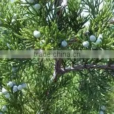 CEDARWOOD TERPENES (CUPARENE)