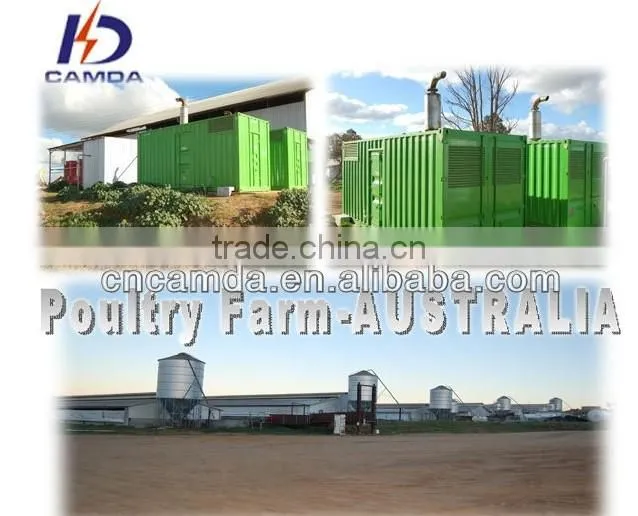 Turnkey,BOT/CE approved New energy biogas power plant , 20kW to 10Mw biogas power plant