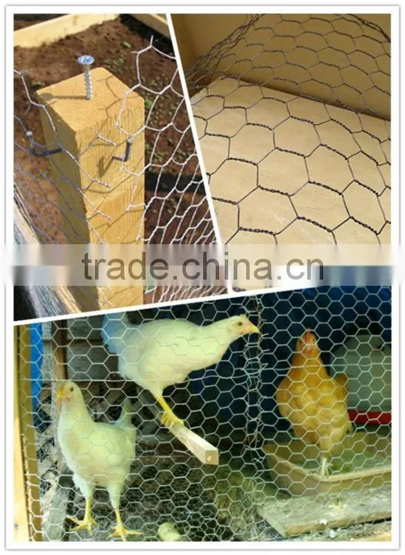 best price hexagonal duck wire mesh for sale