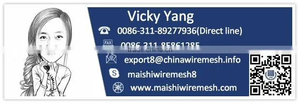 Titanium wire mesh