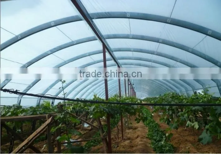 plastic film greenhouse HIGH QUANLITY PE weaving fabric GREENHOUSE FILM
