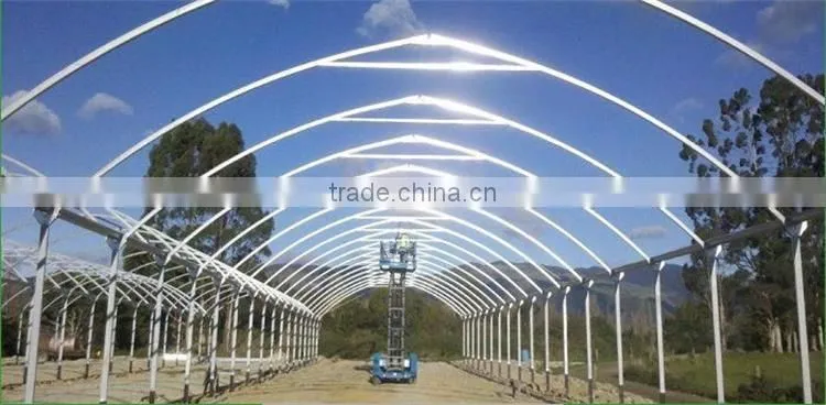 Factory Price Galvanized steel frame agricultural plastic green house