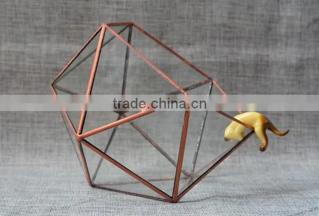 Home design clear glass terrarium succulent plants greenhouses