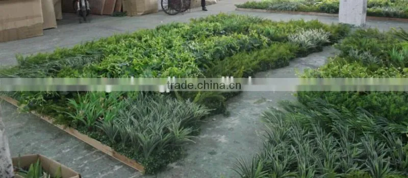 Russia's project of artificial green wall/park and shopping mall plant green wall