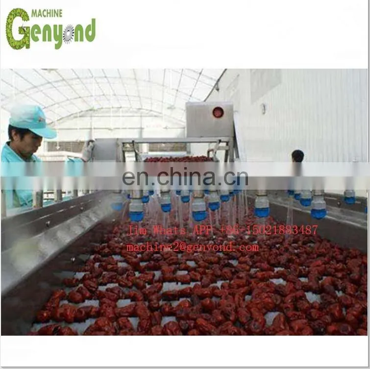 Multifunctional Rotary Drum Washing Machine Raisin Washing Machine