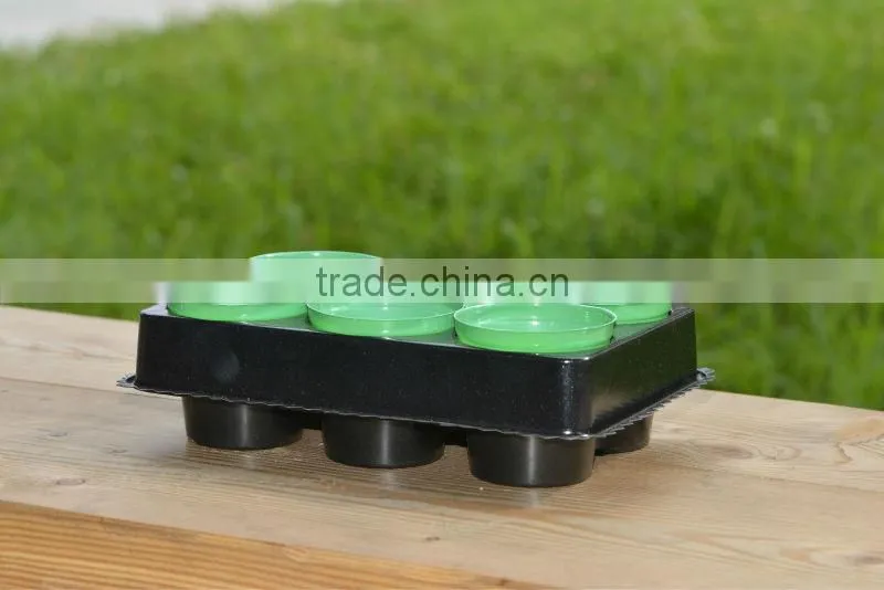 plastic tray with mini pot