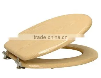Toilet Seat
