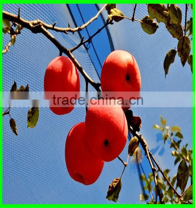 100% HDPE Anti Insect Netting