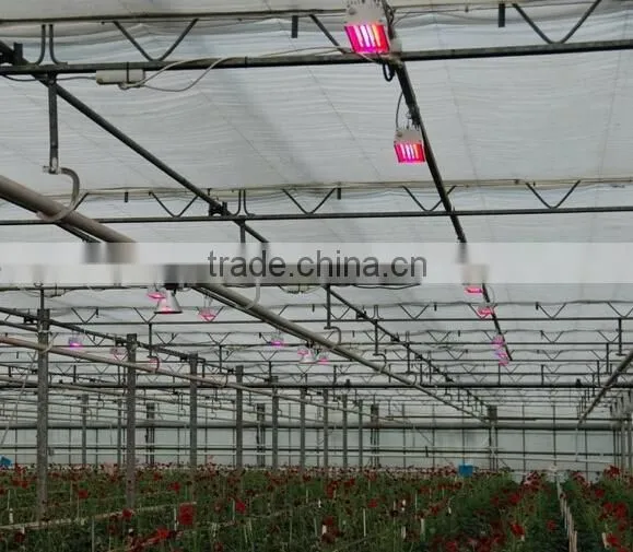 White house round shape 90W chip plants led Grow lighting