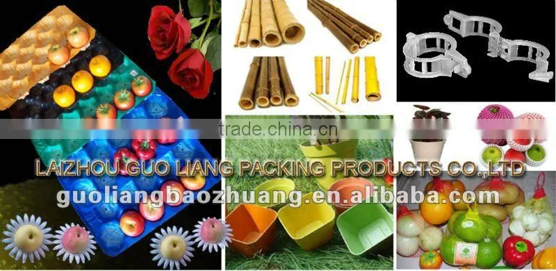 Garden Plant Hook