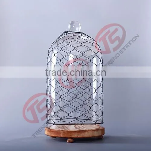 Glass garden decoration cloche