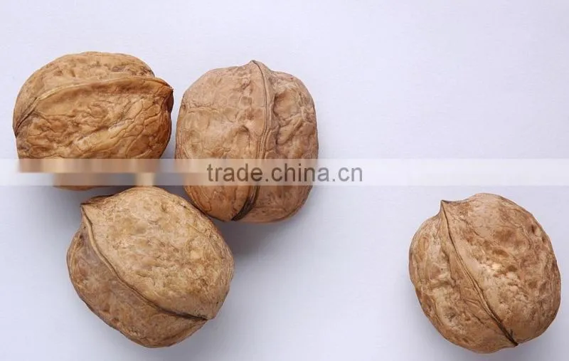 Factory Price Chinese Bulk Walnut in Shell size of 28mm