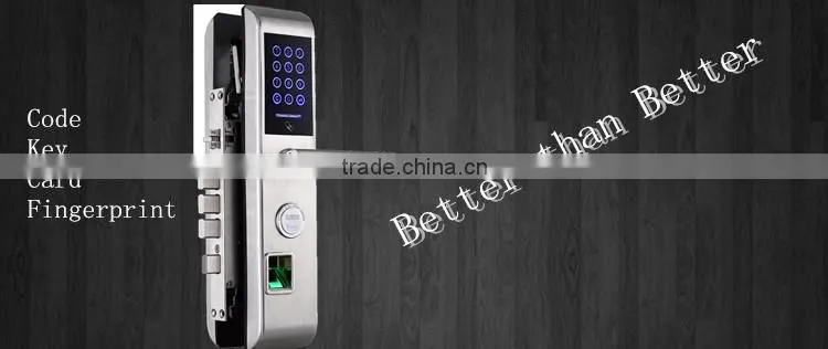 New Touch Reader Fingerprint Electric Door Lock with Keypad