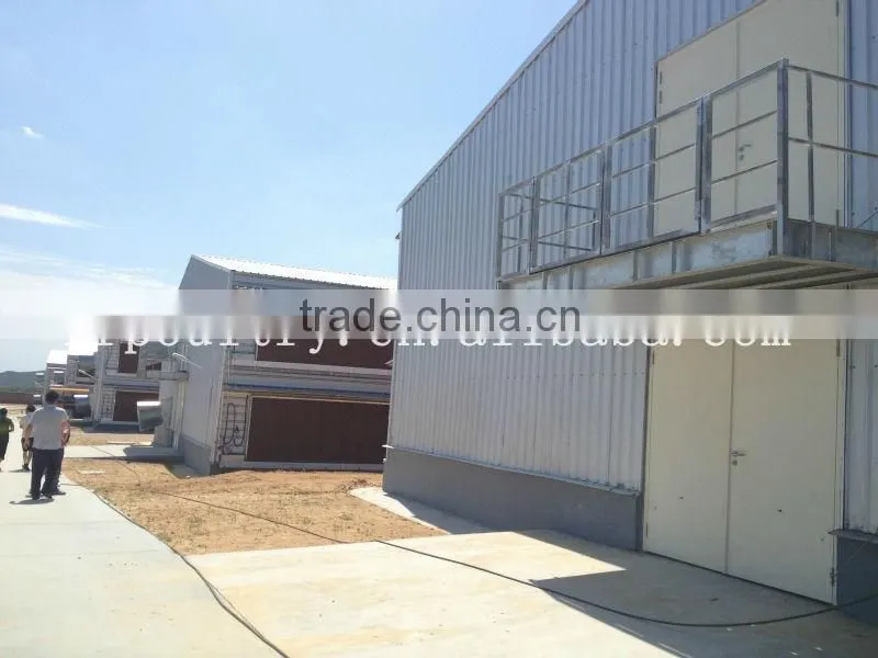 lage-scale chicken poultry farm overall design and building