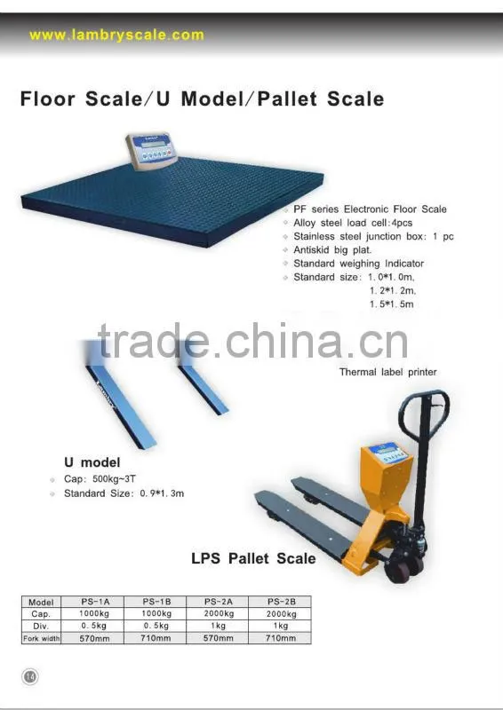 hook lifting scale