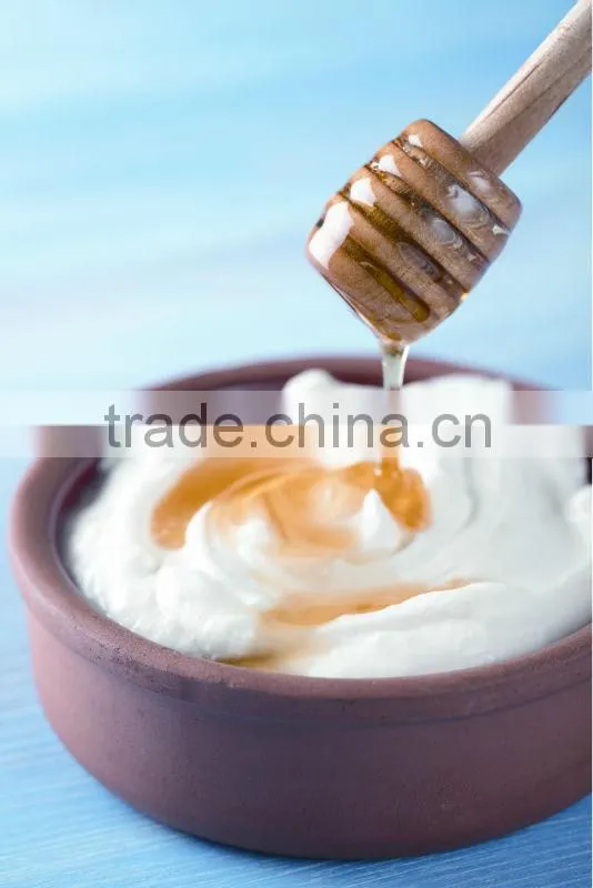 electric greek yogurt maker