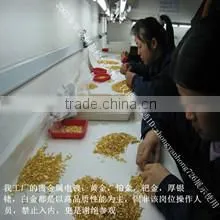 Shenzhen Changjing Hardware & Plastic Products Co., Ltd. company overview - view 4