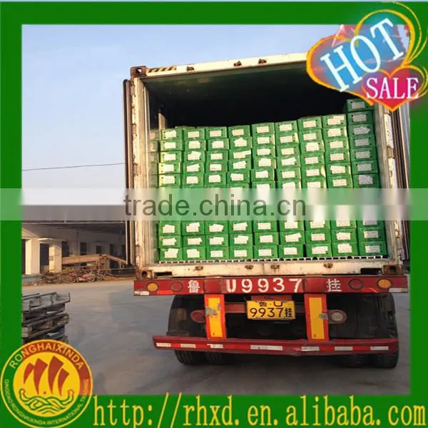 Chinese fresh carot of 2016 crop
