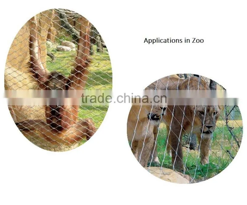 Anping stainless steel Zoo Aviary Mesh