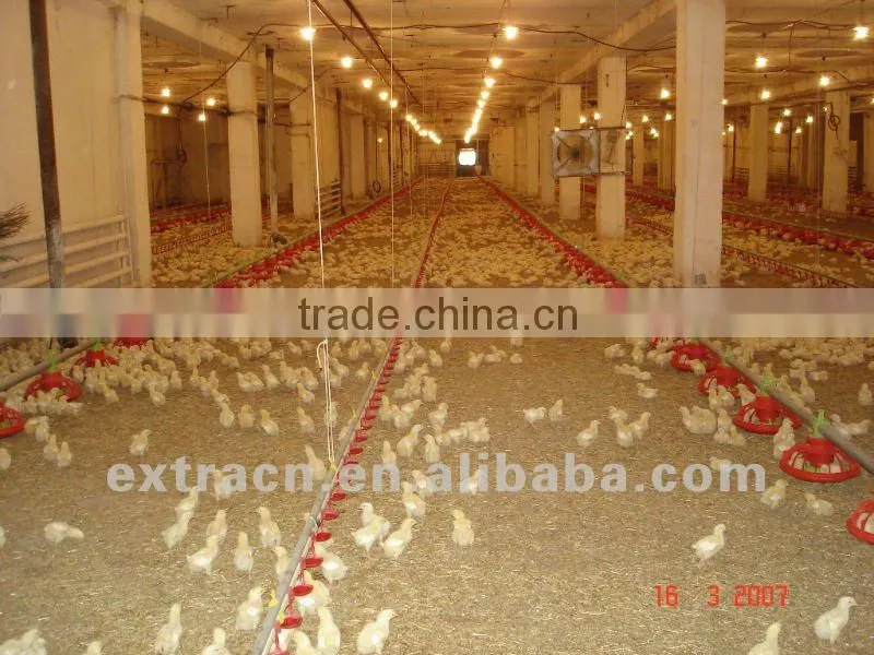 poultry feeding system